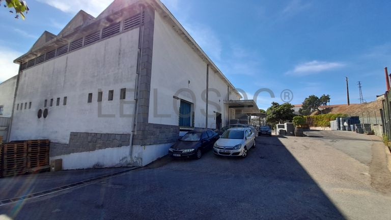 Adega Cooperativa de Portalegre, Crl