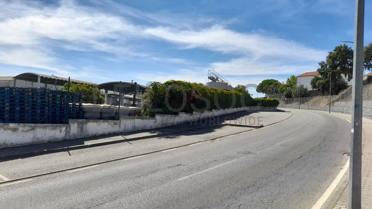 Adega Cooperativa de Portalegre, Crl