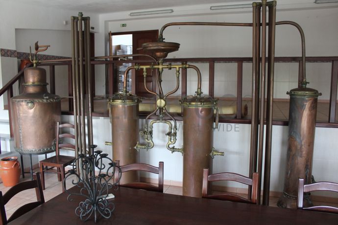 Adega Cooperativa de Portalegre, Crl