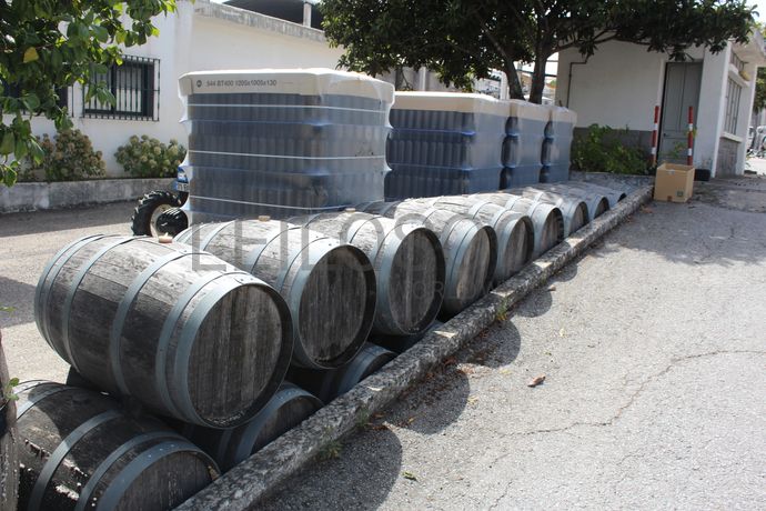 Adega Cooperativa de Portalegre, Crl