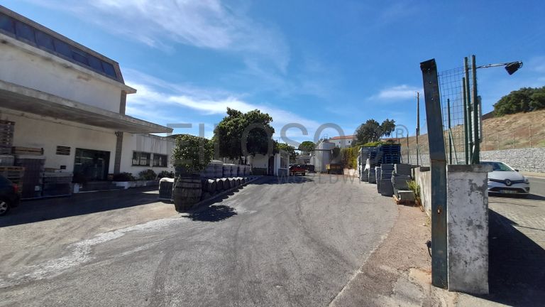 Adega Cooperativa de Portalegre, Crl