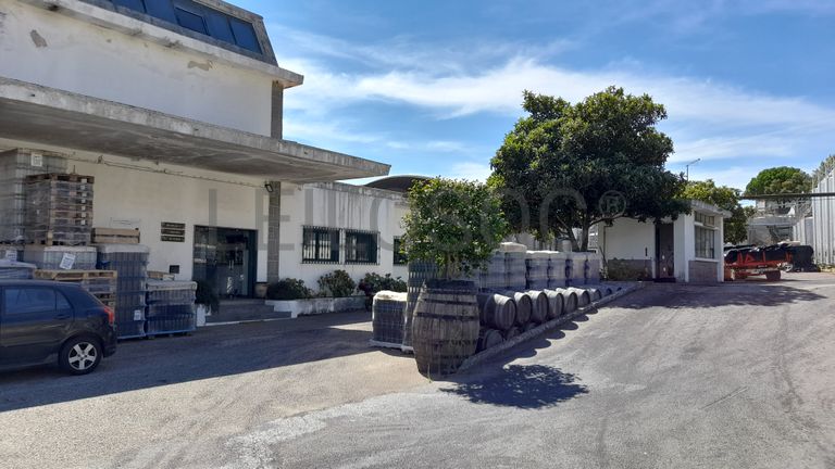 Adega Cooperativa de Portalegre, Crl