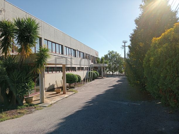 Armazém Industrial · Oliveira de Azeméis