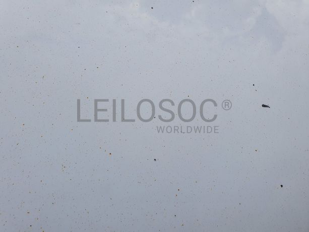 Ford Focus C-Max · Ano 2014