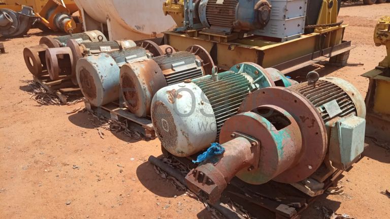 Motores de guincho trifásicos