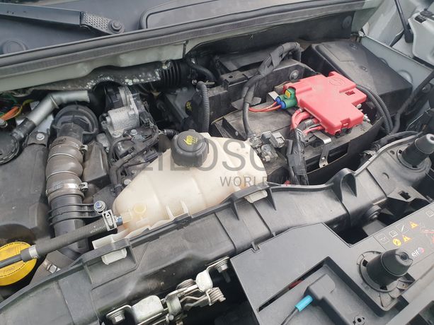 Renault Kangoo · Ano 2019