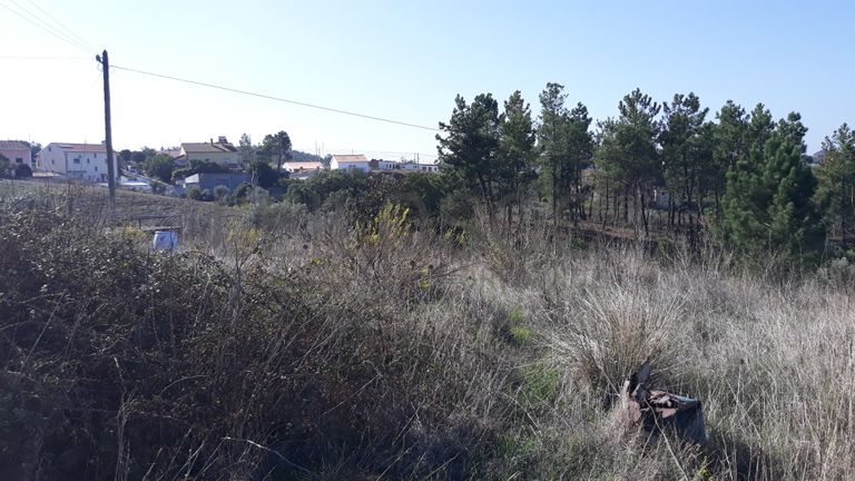 Moradia (Ruínas) + Terreno · Tomar