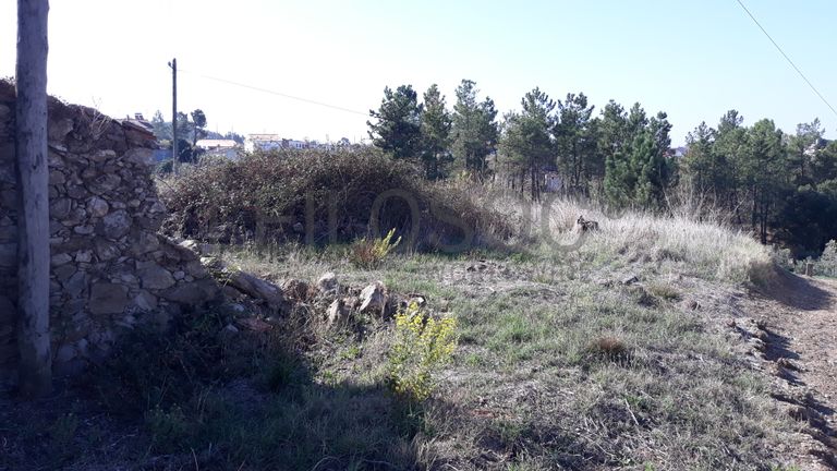 Moradia (Ruínas) + Terreno · Tomar