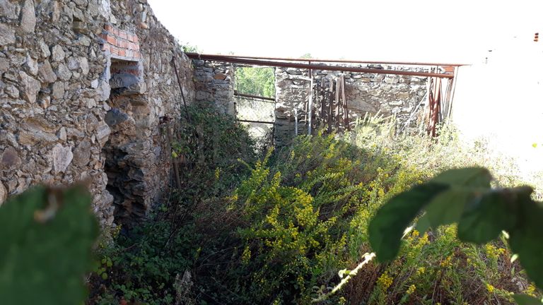 Moradia (Ruínas) + Terreno · Tomar