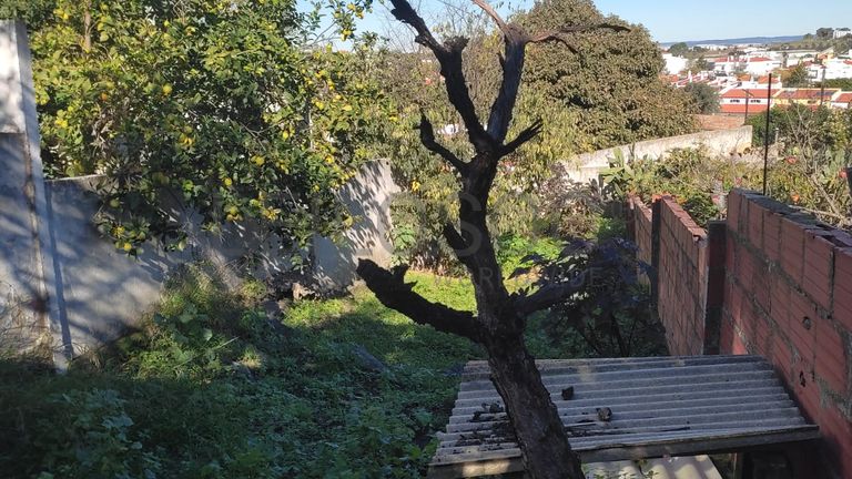 Quinhão Hereditário · Beja