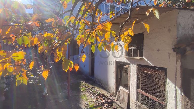 Quinhão Hereditário · Beja