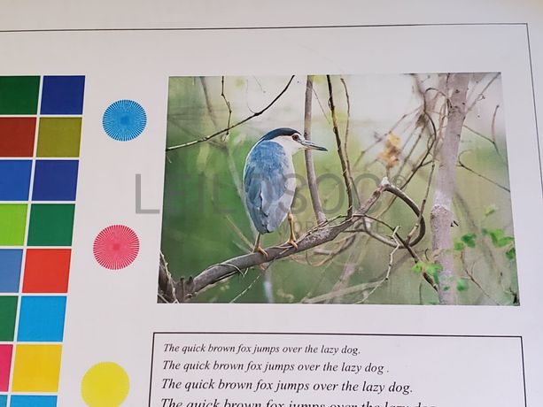 Impressora Multifunções Konica Minolta C360