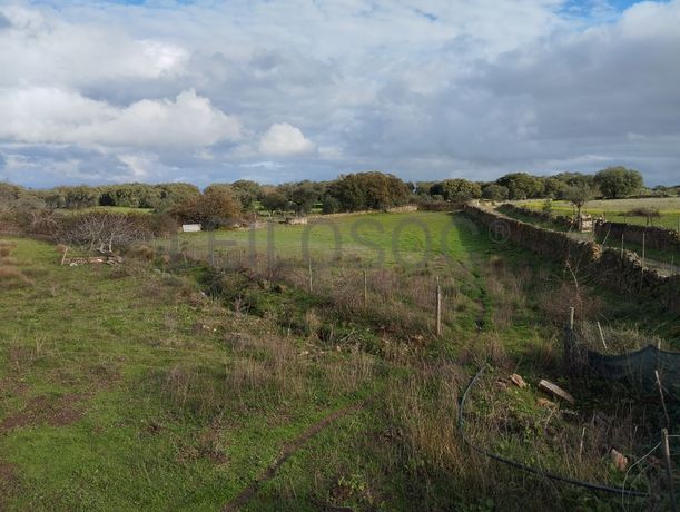 Quinhão Hereditário · Alter do Chão, Portalegre