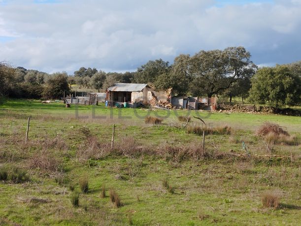 Quinhão Hereditário · Alter do Chão, Portalegre