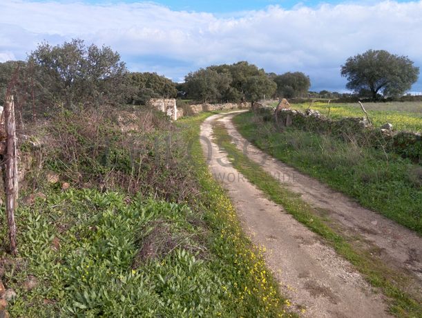 Quinhão Hereditário · Alter do Chão, Portalegre
