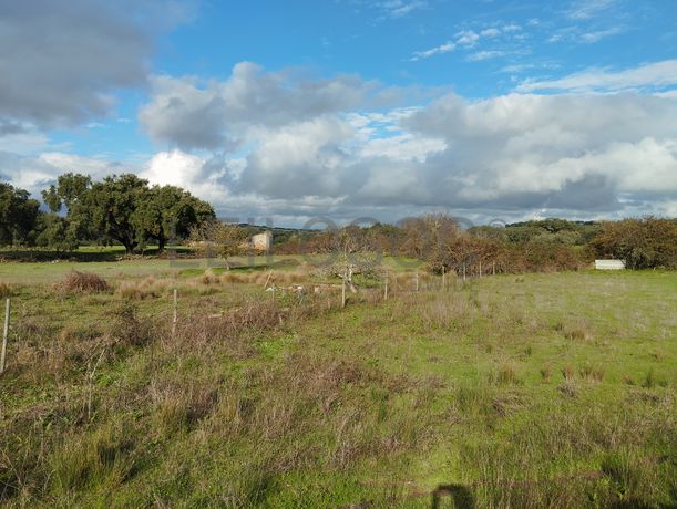 Quinhão Hereditário · Alter do Chão, Portalegre