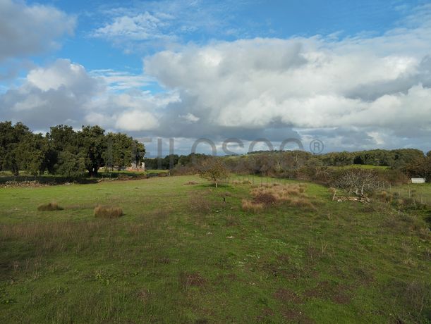 Quinhão Hereditário · Alter do Chão, Portalegre