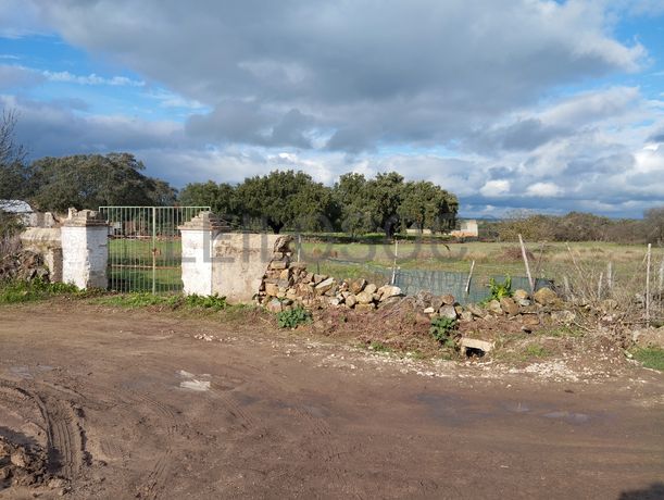 Quinhão Hereditário · Alter do Chão, Portalegre