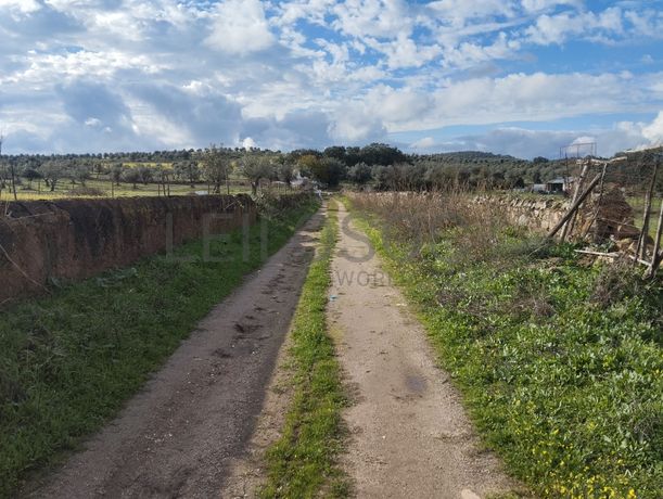 Quinhão Hereditário · Alter do Chão, Portalegre