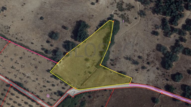 Quinhão Hereditário · Alter do Chão, Portalegre