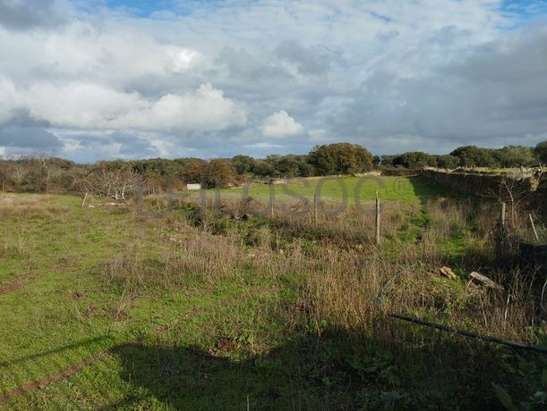 Quinhão Hereditário · Alter do Chão, Portalegre