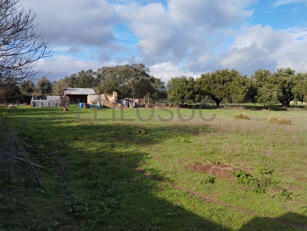 Quinhão Hereditário · Alter do Chão, Portalegre