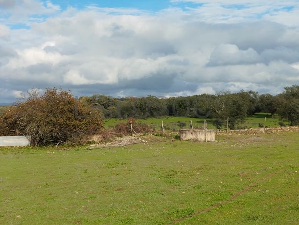 Quinhão Hereditário · Alter do Chão, Portalegre