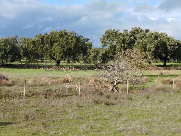 Quinhão Hereditário · Alter do Chão, Portalegre