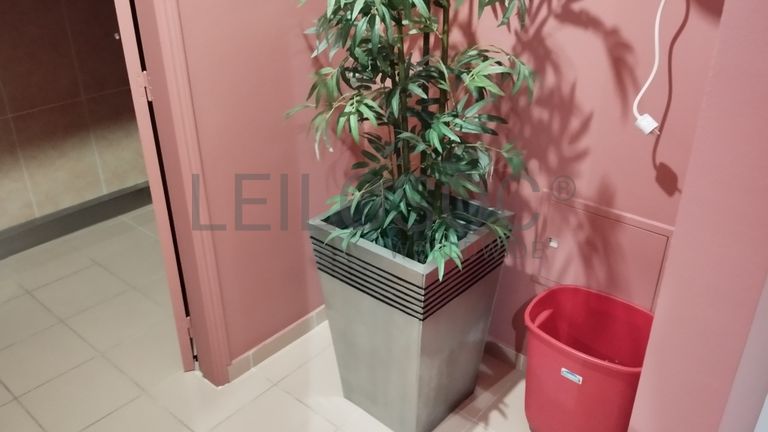 Equipamentos Estética