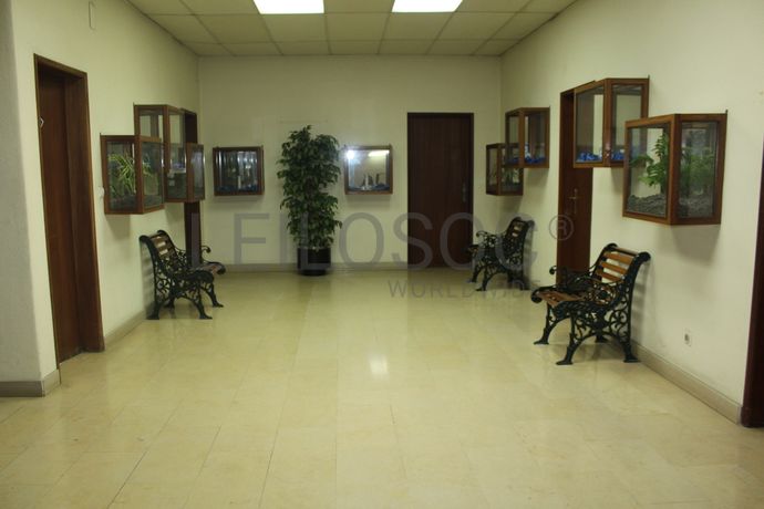 Edifício · Santarém