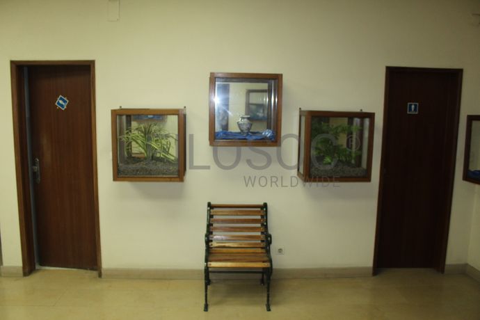 Edifício · Santarém