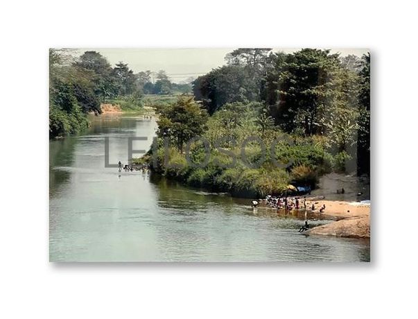 Totalidade dos Lotes