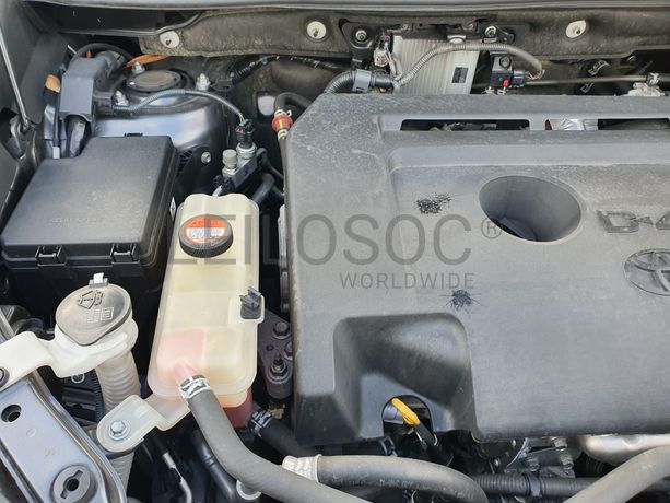 Toyota Rav4 · Ano 2015