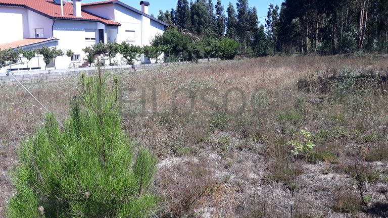 Lote para Construção · Tábua