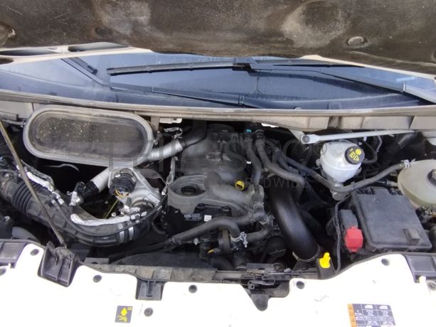 Ford Transit · Ano 2021