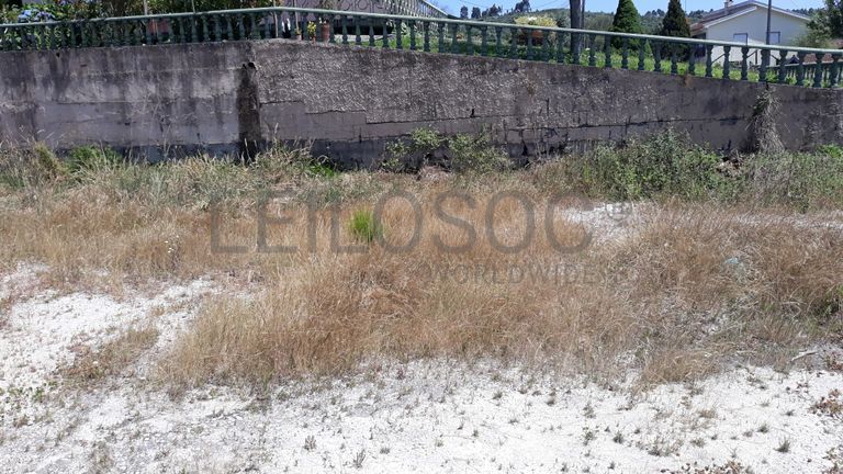 Terreno para Construção · Castro Daire, Viseu