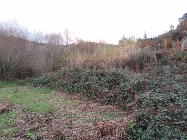 Quinhão Hereditário · Monção, Viana do Castelo