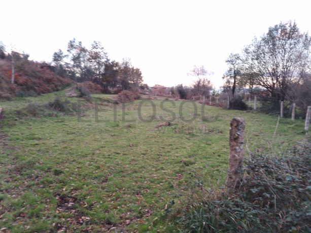 Quinhão Hereditário · Monção, Viana do Castelo