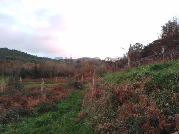 Quinhão Hereditário · Monção, Viana do Castelo