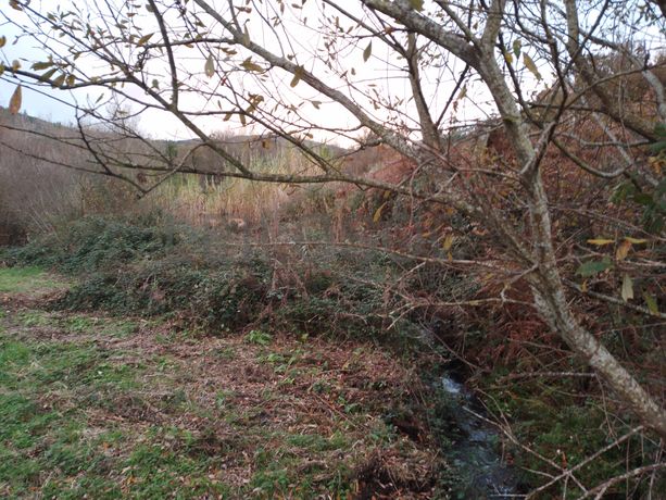 Quinhão Hereditário · Monção, Viana do Castelo