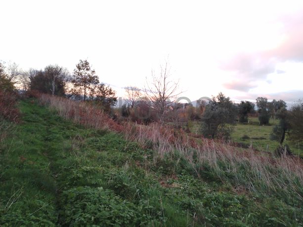 Quinhão Hereditário · Monção, Viana do Castelo