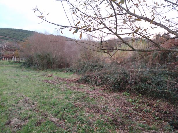 Quinhão Hereditário · Monção, Viana do Castelo