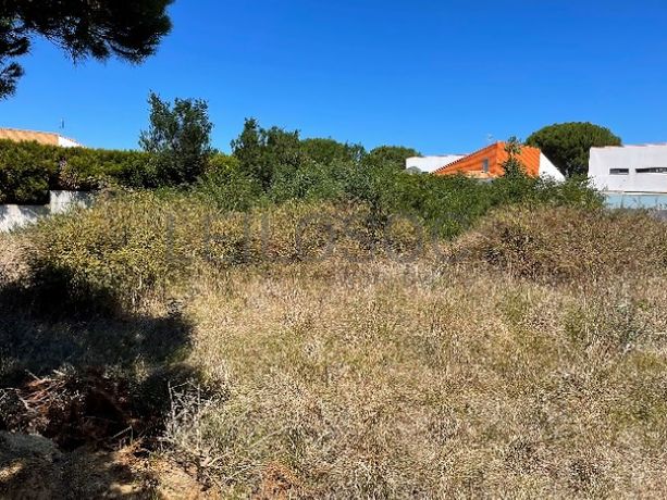 Lote para Construção · Urbanização Jardins da Ria de Aveiro