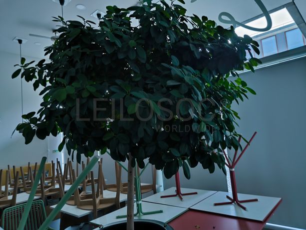 Equipamentos de Hotelaria