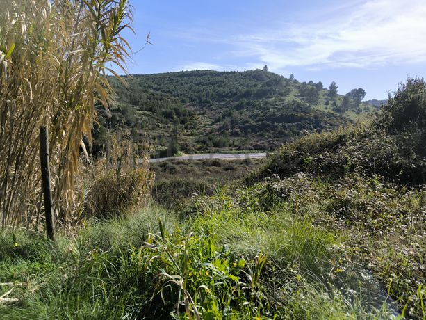 Terreno · Arruda dos Vinhos, Lisboa