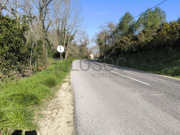 Terreno · Arruda dos Vinhos, Lisboa