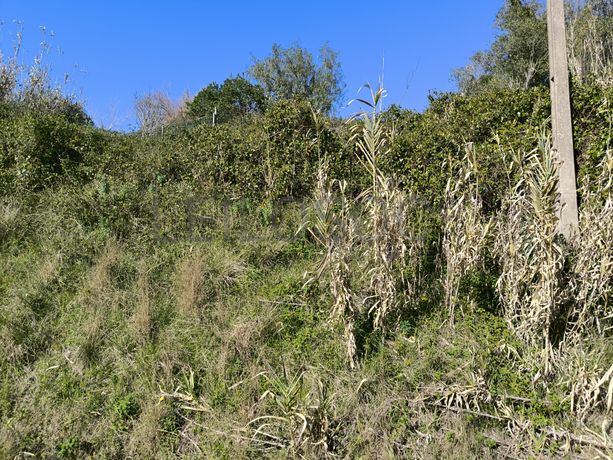 Terreno · Arruda dos Vinhos, Lisboa