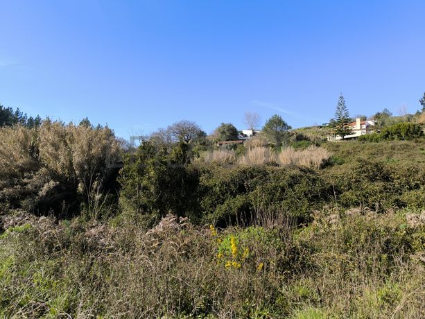 Terreno · Arruda dos Vinhos, Lisboa
