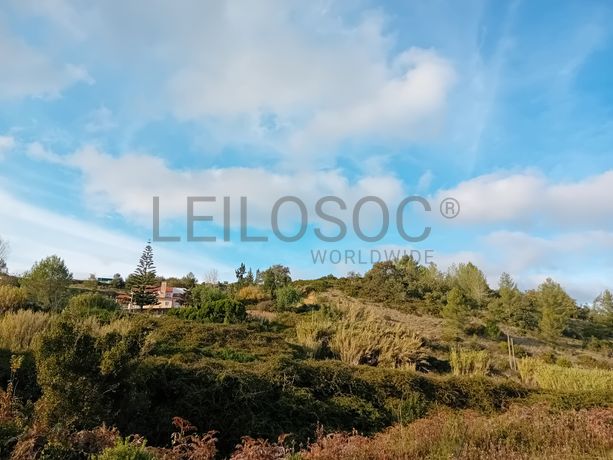 Terreno · Arruda dos Vinhos, Lisboa