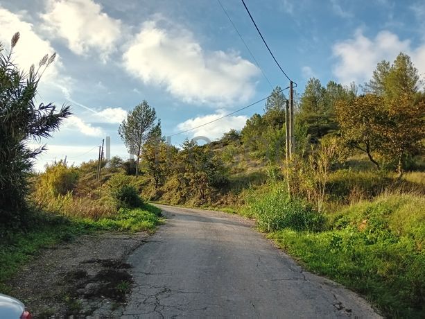 Terreno · Arruda dos Vinhos, Lisboa